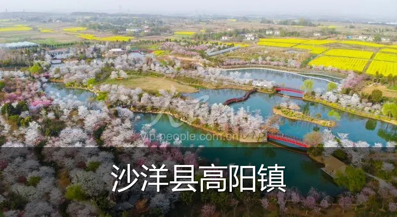 沙洋县高阳镇